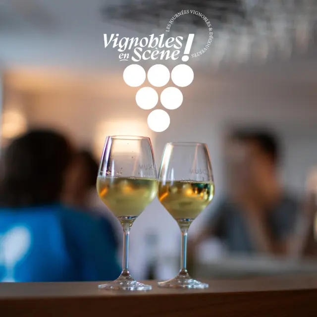 Vignobles en Scène 2025 dans le Vignoble Nantais : pays du Muscadet. Evenement banquet au Château de la Frémoire, Vertou