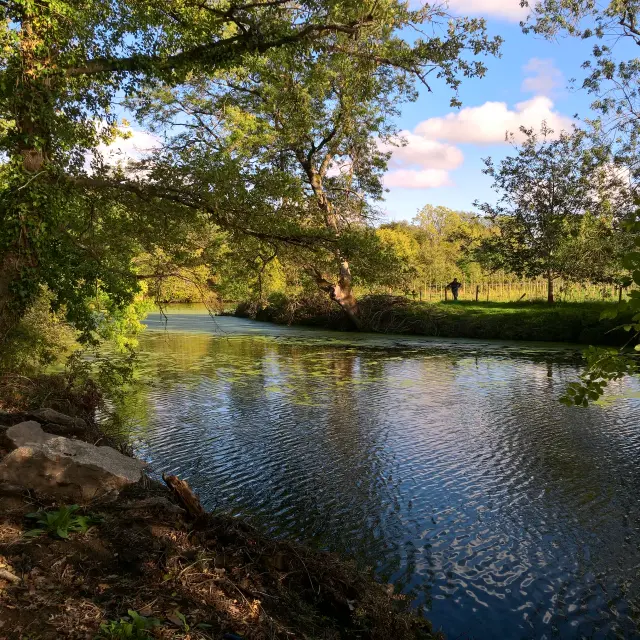 Wp 20191010 17 18 23 Pro