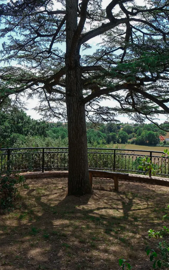 Belvedere Bois De Buis 2