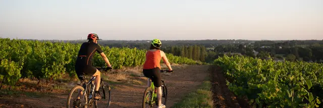 Randonnées & itinérances dans le Vignoble Nantais