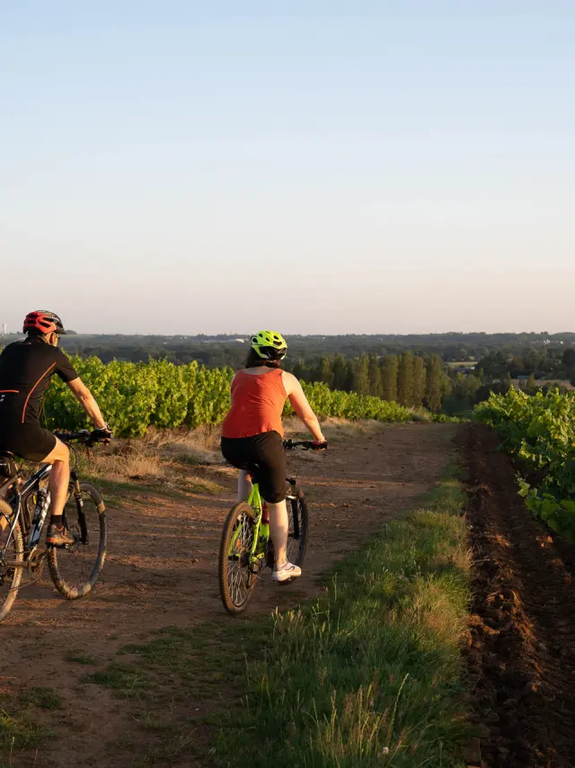 Randonnées & itinérances dans le Vignoble Nantais