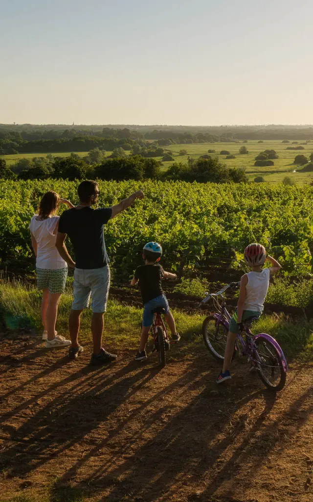 Espace pros : Chiffres clés du tourisme