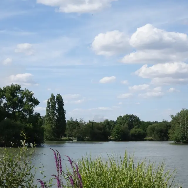 Campsite Plan Eau Du Chene St Julien De Concelleslevignobledenantes2017 49