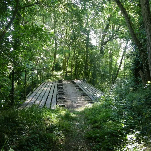 Circuit Htedivatte Laremaudiere Levignoblenantes Tourism 6