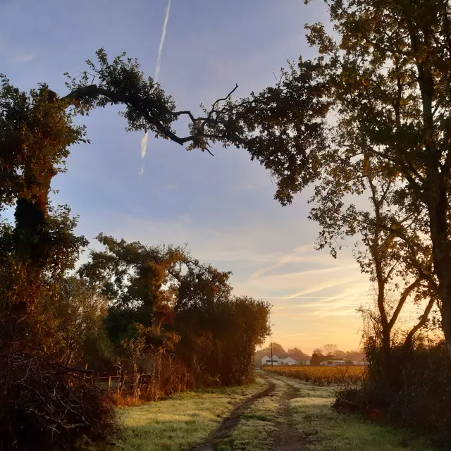 Copyright Peggy Gastineau 2