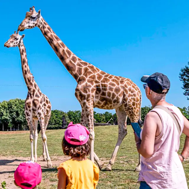 Vineyards for children: Soigneur Family VIP activity at Boissière du Doré Zoo