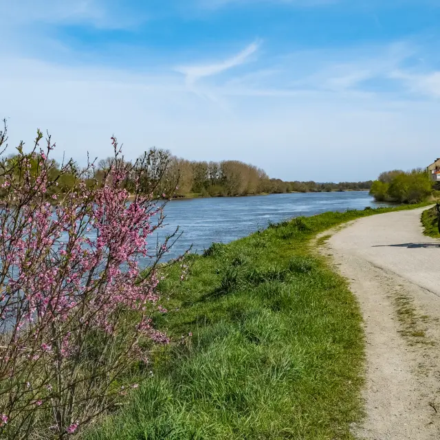 La Loire A Velo et l'itinérence vélo en bord de Loire avec Sylvain Le Bourdonnec du blog Ma vie en Loire-Atlantique