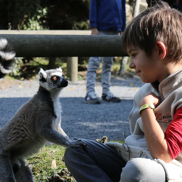 The vineyard from a child's point of view : My birthday at the Boissière du Doré Zoo