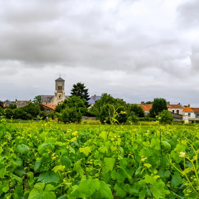 La Vélidéale et l'itinérence vélo le long de la Sèvre du Vignoble Nantais avec Sylvain Le Bourdonnec du blog Ma vie en Loire-Atlantique
