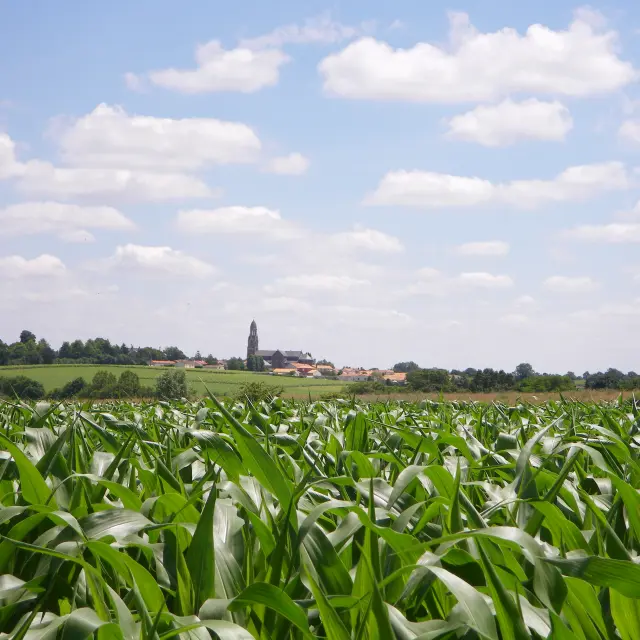 Panorama of Boissiere Church
