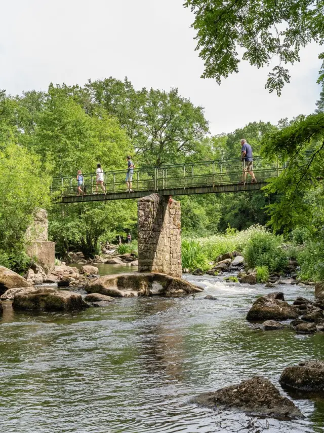 Randonnée & itinérance, nos circuits coup de coeur dans le Vignoble Nantais : Passerelle Aigrefeuille, randonnée près de Nantes
