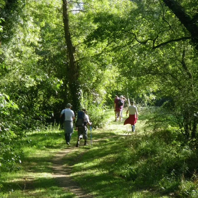 Rando Pedestres 2015 Saintlumine 1