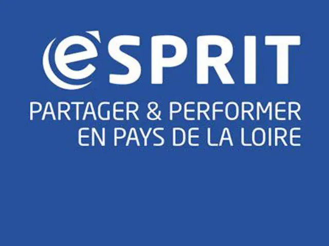 Espace pros : Valoriser votre, l'offre e-sprit et tourinsoft