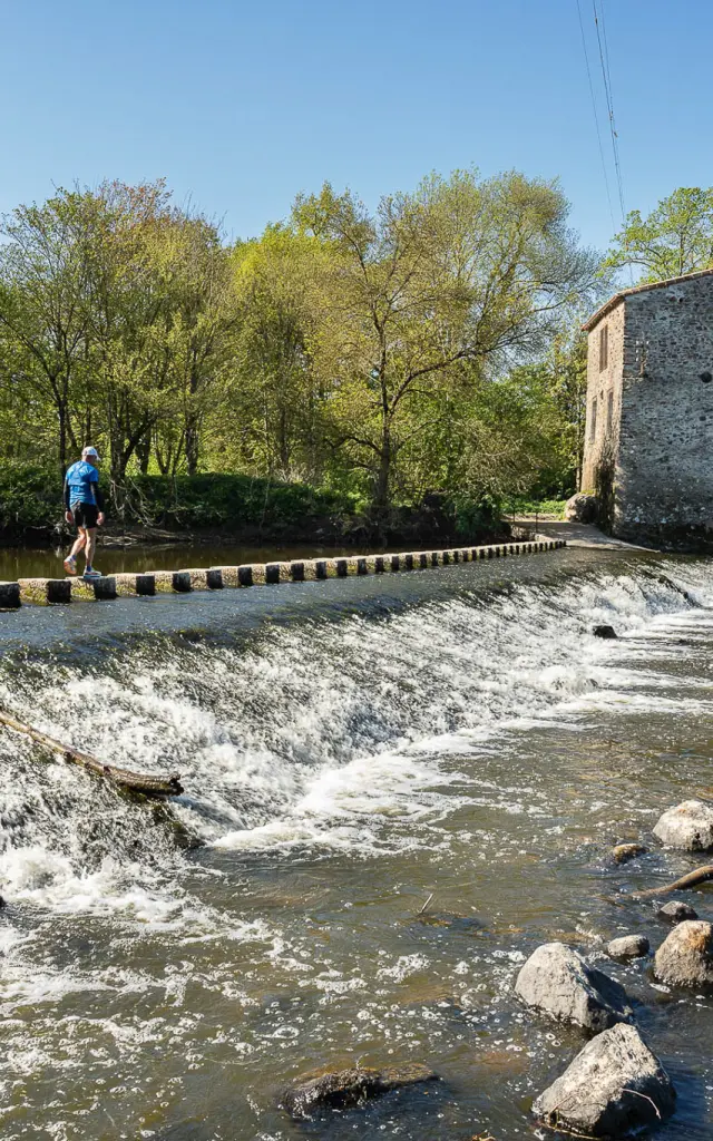 Hiking in the Vignoble Nantais : Angreviers Gorges on the GR de Pays Sèvre et Maine - Boucle du Vignoble, hiking near Nantes
