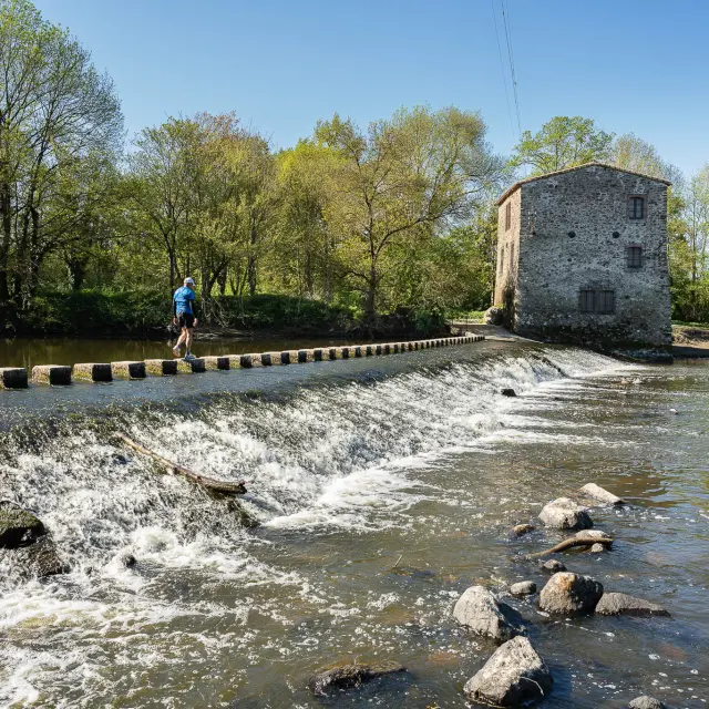 Hiking in the Vignoble Nantais : Angreviers Gorges on the GR de Pays Sèvre et Maine - Boucle du Vignoble, hiking near Nantes