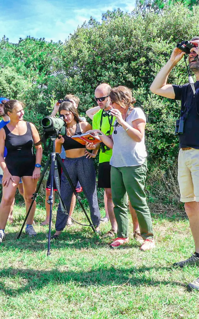 Observation d'oiseaux dans le marais de Goulaine : visite nature avec Benoit Tillet à La Maison Bleue
