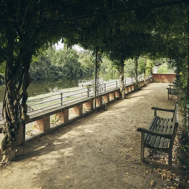 Week-end sans voiture Nantes : virée cocooning dans le Vignoble Nantais