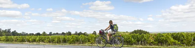 Week-end sans voiture Nantes : virée cocooning dans le Vignoble Nantais