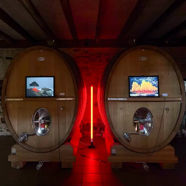 Festivl Nez en l'air par le collectif Peps'Art dans le Vignoble Nantais