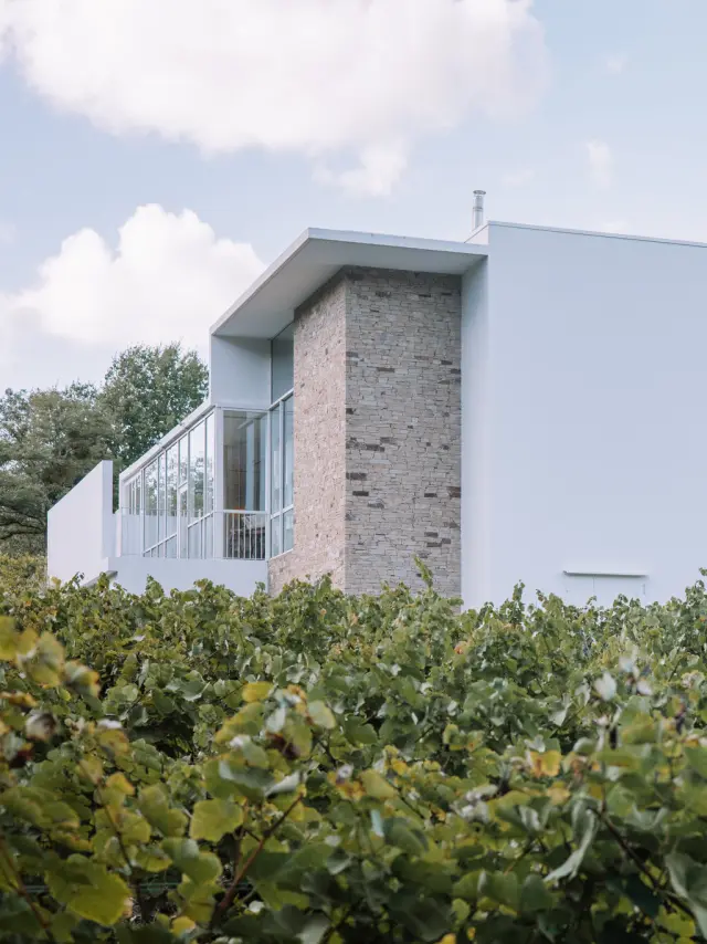 48 h Rock & Muscadet: día 2, Musée du Vignoble Nantais# en Le Pallet