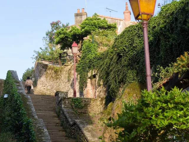 Nos incontournables : Clisson l'incontournable, visitez l'échelle du Château de Clisson