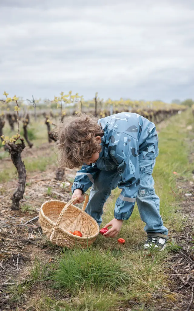 Chasse aux œufs Pâques Vignoble Nantais