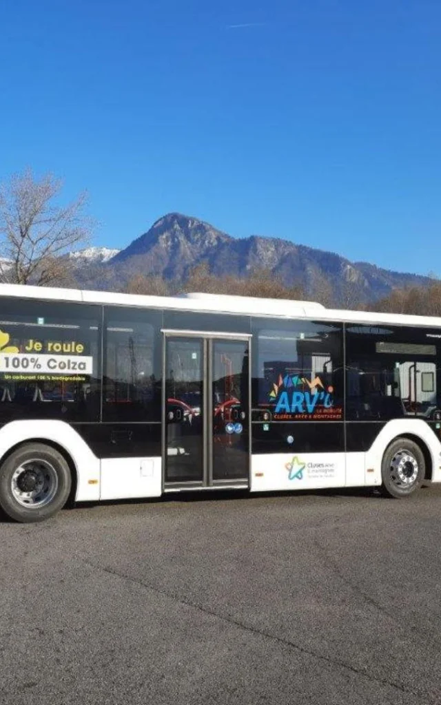 Bus Arvi