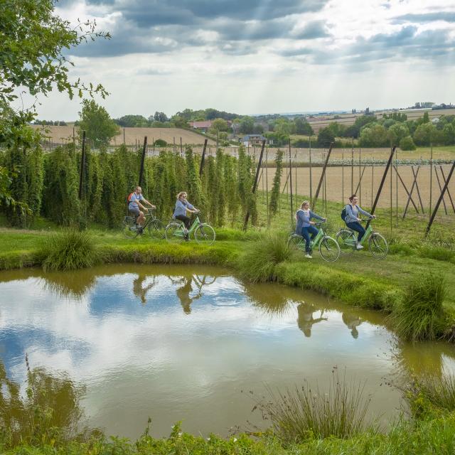 VELO RESEAU POINTS NOEUDS
