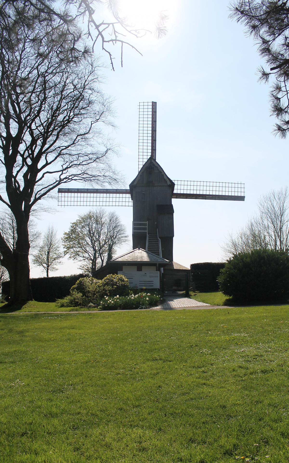 Flemish symbols | coeurdeflandre