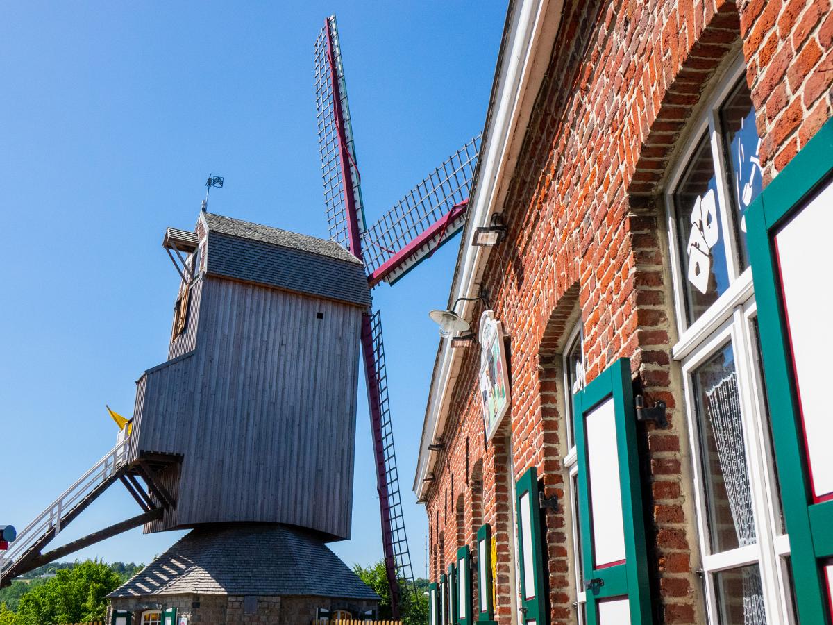 Flemish symbols | coeurdeflandre