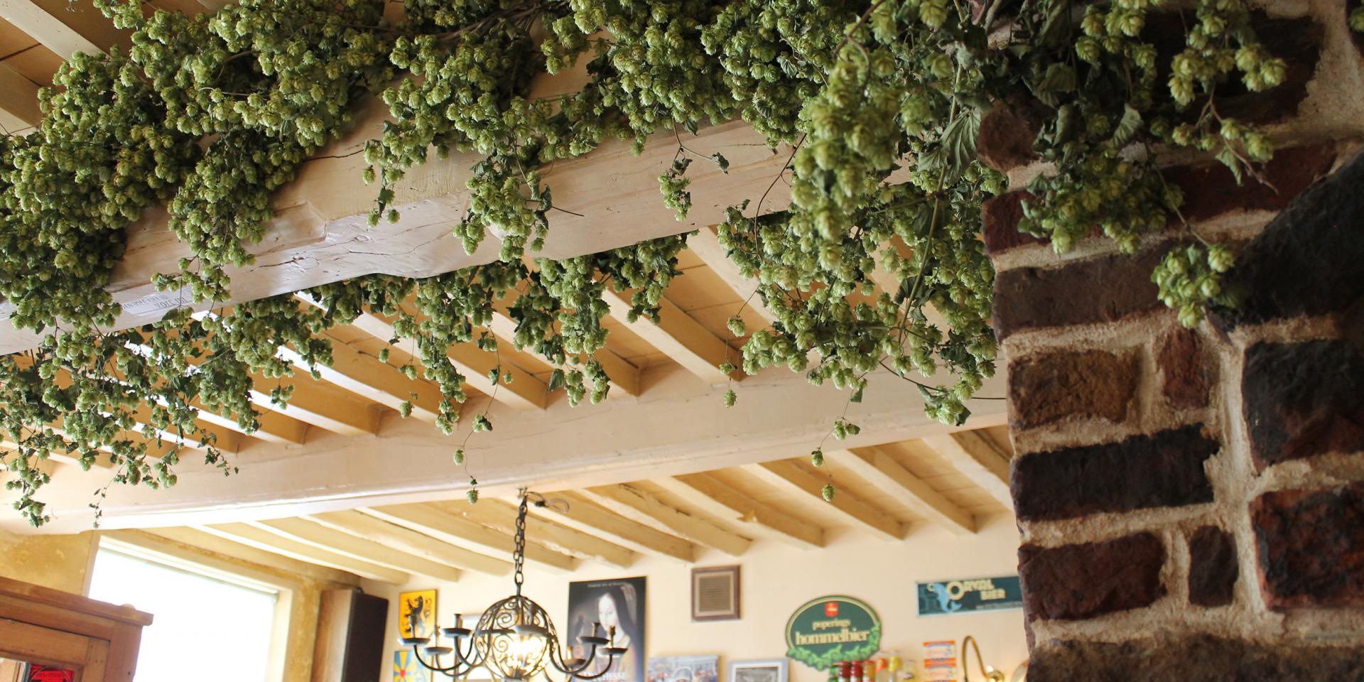 Décor Estaminet Liane de Houblon