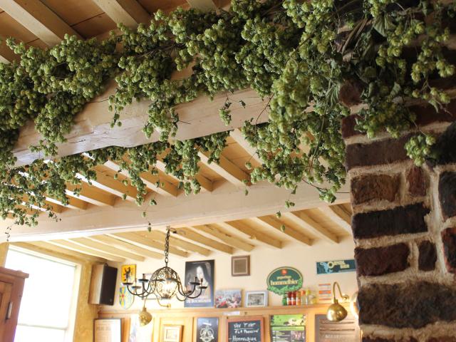 Décor Estaminet Liane de Houblon
