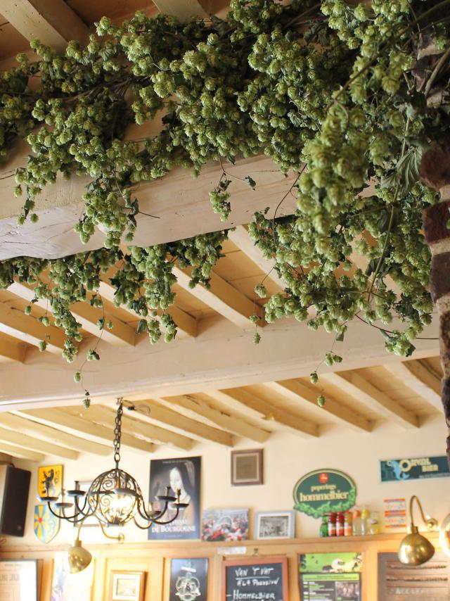 Décor Estaminet Liane de Houblon