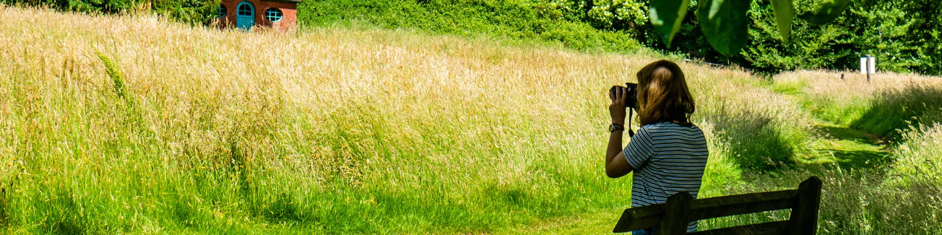 Dans le parc Marguerite Yourcenar