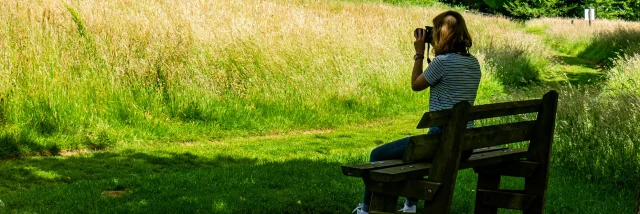 Dans le parc Marguerite Yourcenar