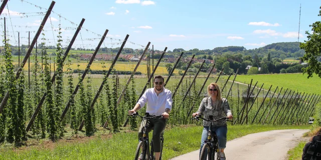 A vélo en Flandre