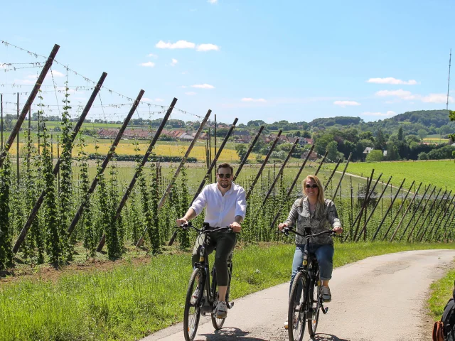A vélo en Flandre