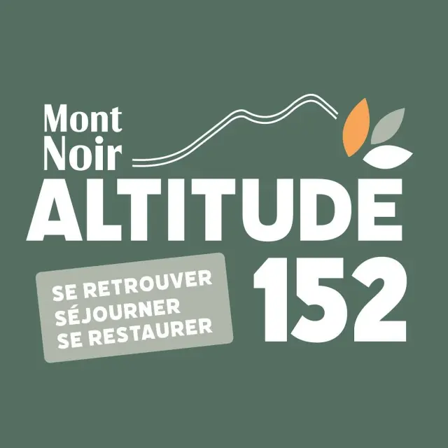 494451026 122141626772767977 8661167498368980344 N