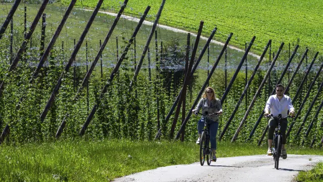 Terre De Velo Flandre 01 01 01