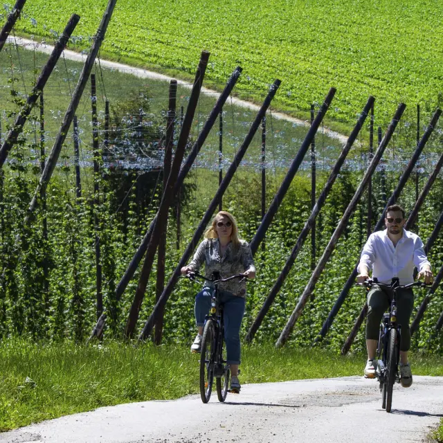Terre De Velo Flandre 01 01 01