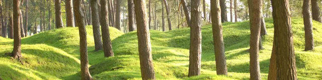 Vimy Memorial Park, National Historic Site of Canada