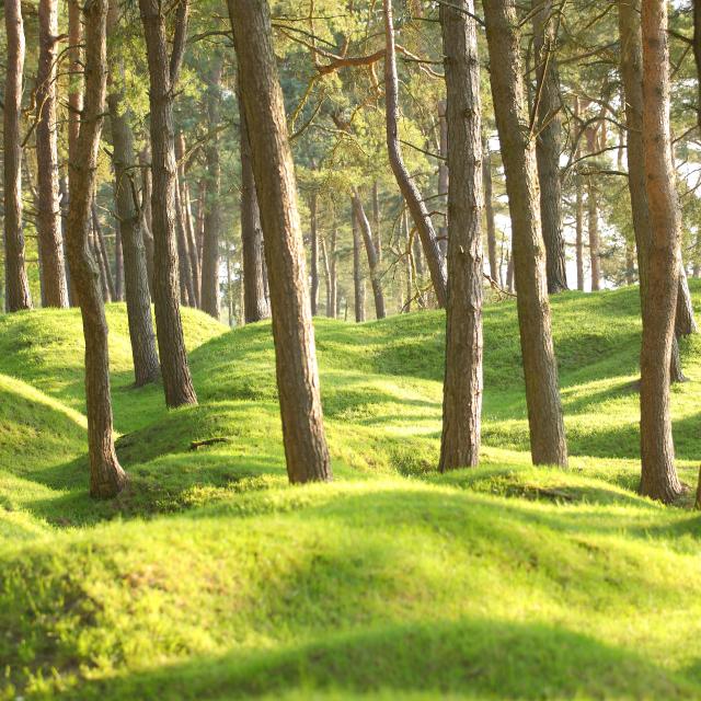 Vimy Memorial Park, National Historic Site of Canada