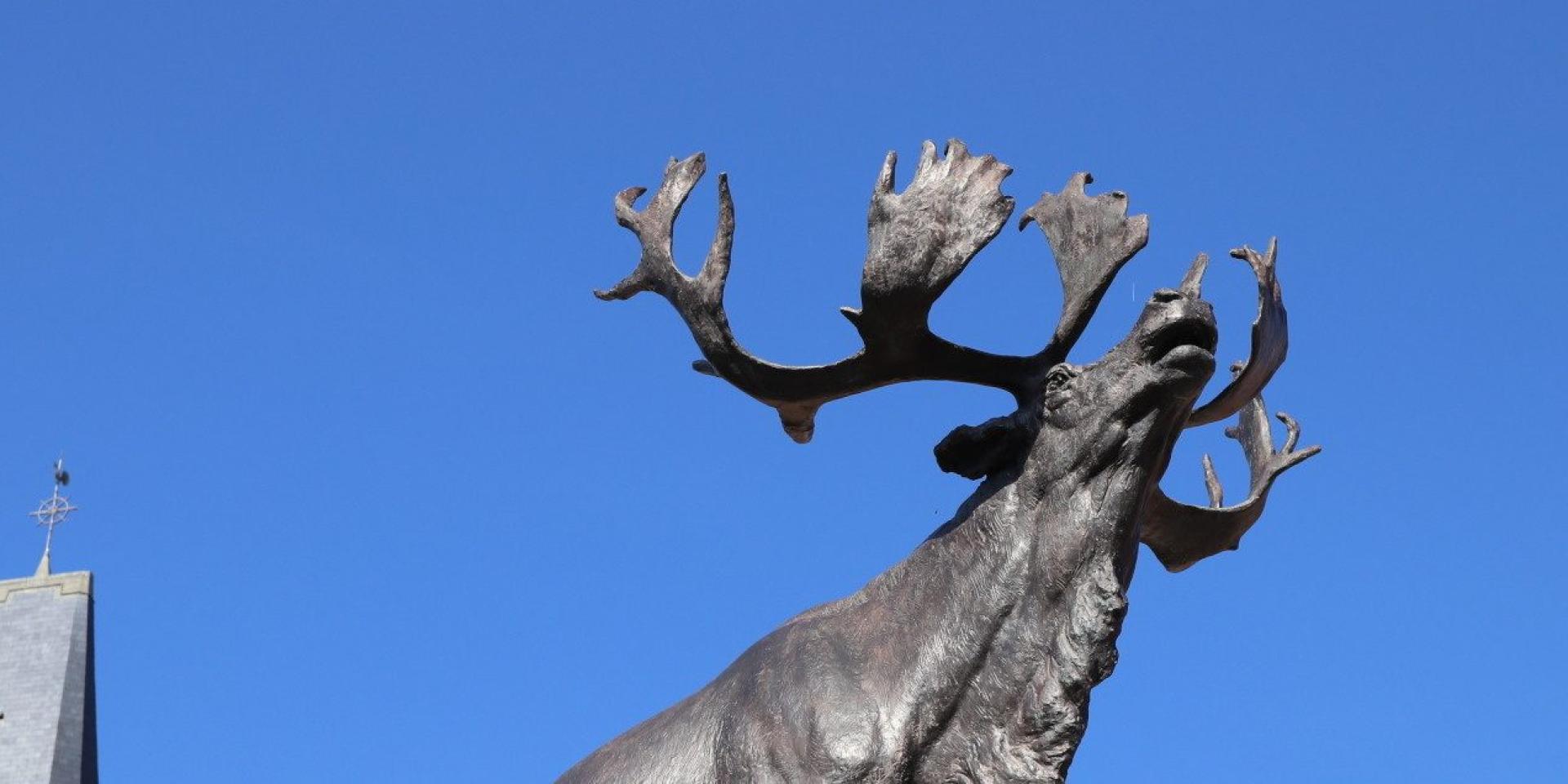 Mémorial de Terre-Neuve représentant un caribou en bronze