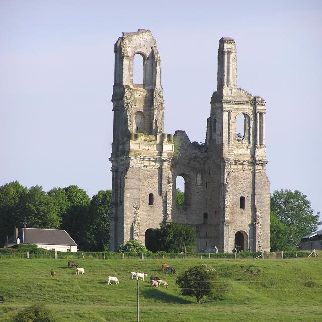 Distant view of the Towers of Mont-Saint-Eloi