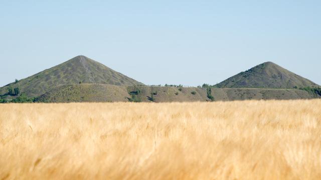 twin-earths-seen-from-wheatfields