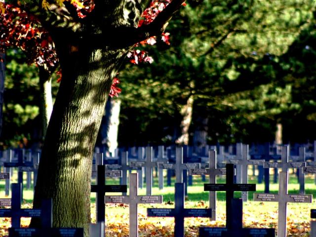 Neuville-Saint-Vaast. Cimetière militaire allemand de la Maison Blanche
