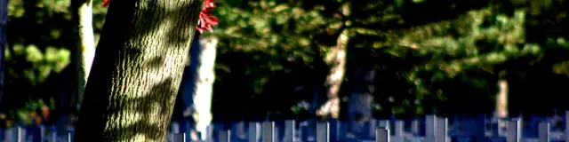 German Cemetery Memory Sites