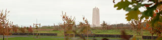 Vimy Et Ses Chenes Benoit Vienne