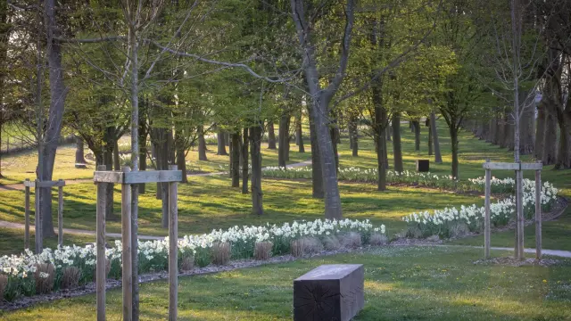Jardin De La Paix Francais – Promenade En Sous Bois Lumieres Et Transparences Elise Et Martin Hennebicque