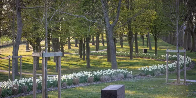 Jardin De La Paix Francais – Promenade En Sous Bois Lumieres Et Transparences Elise Et Martin Hennebicque